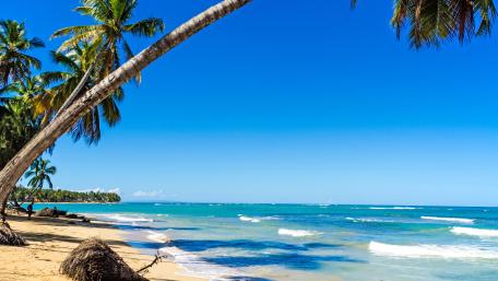 Tropical Paradise by the Sea wallpaper