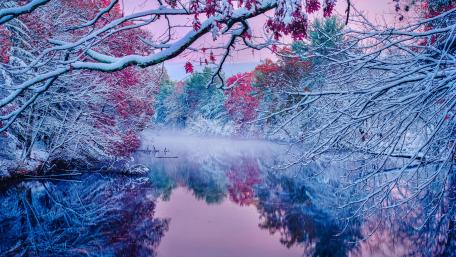 Snowy autumn wallpaper