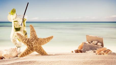 Tropical Bliss at the Beach wallpaper