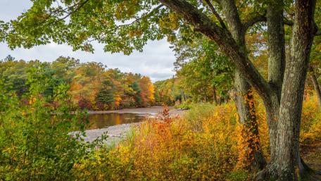 Autumn Serenity by the Lakeside wallpaper