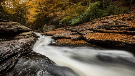 Autumn Serenity by the Stream Bed wallpaper