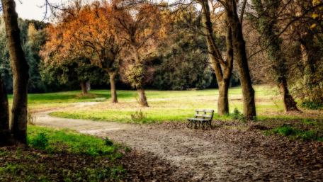 Serene Autumn Park Bench Scene wallpaper