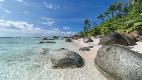 Tropical Paradise by the Shore wallpaper