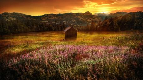 Serene Cottage Sunset Over a Meadow wallpaper