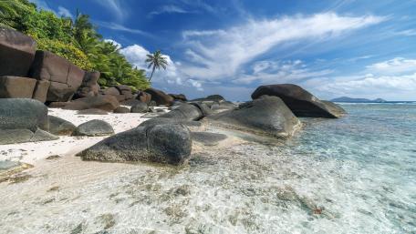 Tropical Beach Paradise Awaits You wallpaper