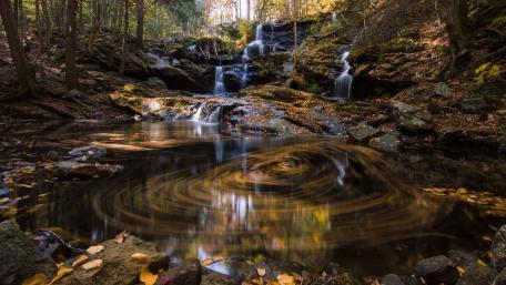 Serenity at the Forest Waterfall wallpaper