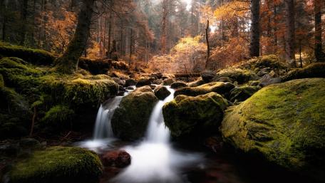 Tranquil Autumn Waterfall in Forest Setting wallpaper