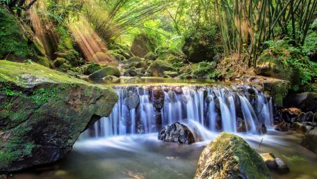 Serene Forest Waterfall Scene wallpaper