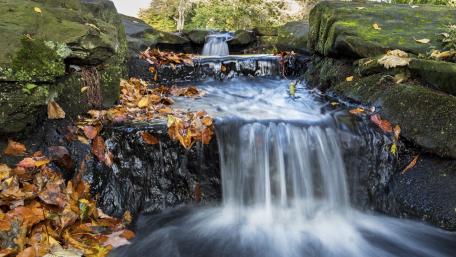 Serene Flow of Nature's Cascade wallpaper