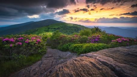 Majestic Hill at Sunset Amidst Blooms wallpaper
