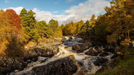 Autumn Serenity by the River wallpaper