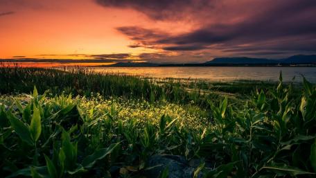 Serene Sunset Over Tranquil Lake Surface wallpaper