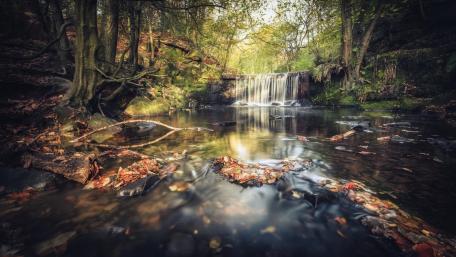 Tranquil Forest Waterfall Scene wallpaper