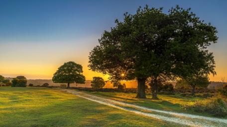 Golden Sunset over Tranquil Fields wallpaper