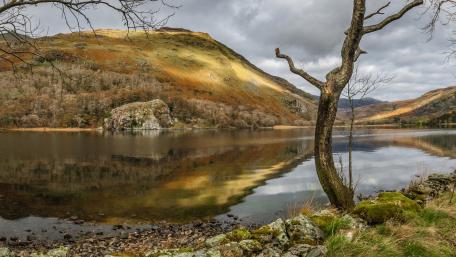 Tranquil Lake Reflections in Nature wallpaper