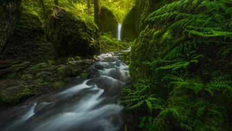 Serenity of a Hidden Waterfall in Nature wallpaper
