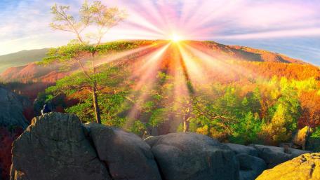 Golden Sunbeams Over Autumn Landscape wallpaper