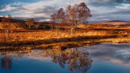 Serene Landscape with Tree Reflections in Water wallpaper