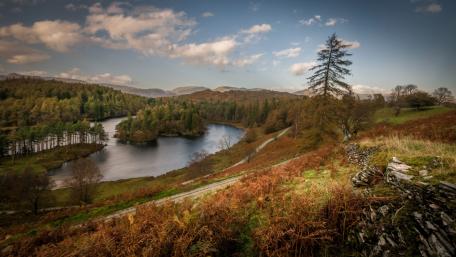 Serene Autumn Landscape by the Lake wallpaper