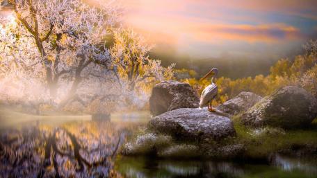 Serene Bird Amidst Nature's Beauty wallpaper
