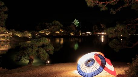 Scenes of Tranquility Under the Night Sky wallpaper