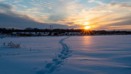 Winter sunset wallpaper