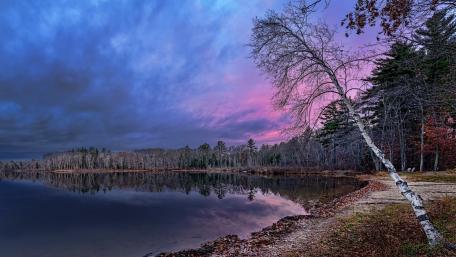 Serene Lake Reflections at Dusk wallpaper