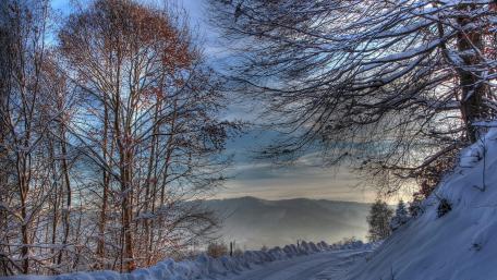 Tranquil Winter Road Amidst Snowy Landscapes wallpaper