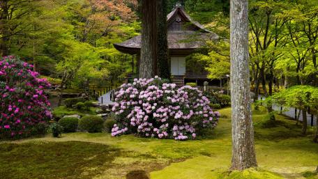 Sanzen-in Temple wallpaper