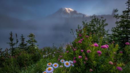 Blooming Mountain Landscape with Misty Peaks wallpaper