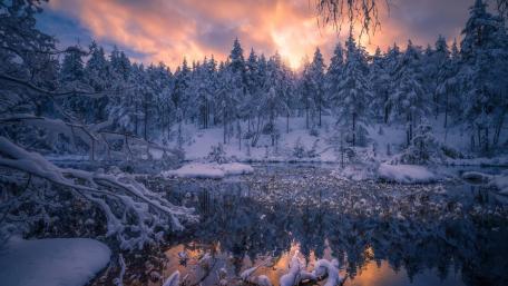 Winter Wonderland Reflection in Snowy Landscape wallpaper