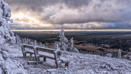 Serene Winter Escape Amidst Snowy Landscapes wallpaper