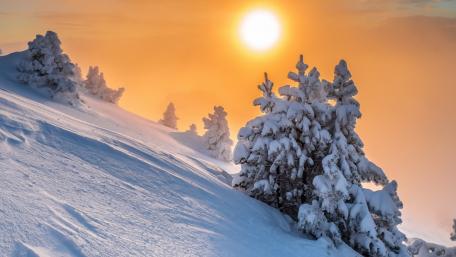 Winter Wonderland at Sunrise wallpaper