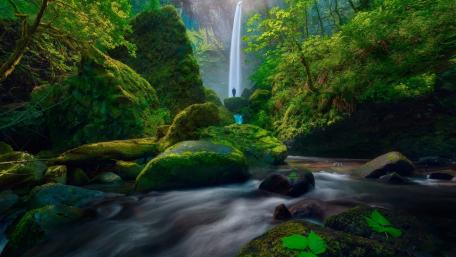 Mystical Waterfall in Lush Greenery wallpaper