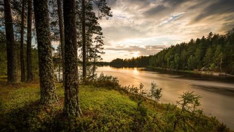 Serene River at Dusk in Tranquil Forest Environment wallpaper