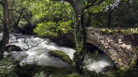 Serene River Scene with Ancient Stone Bridge wallpaper