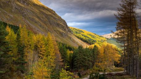 Golden Autumn Over Mountain Valley wallpaper