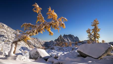 Winter Wonderland in the Mountains wallpaper