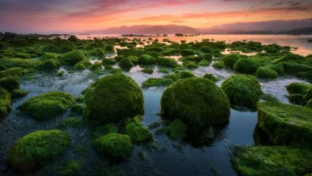 Mossy Stones by the Tranquil Lake wallpaper