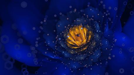 Glowing Blue Floral Abstract Art Wallpaper wallpaper