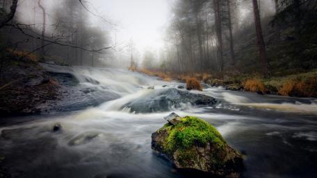Serene Autumn River in Misty Forest Scene wallpaper