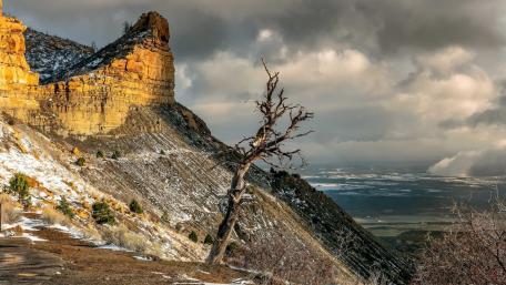 Majestic Cliffside with a Lone Tree Amidst Clouds wallpaper