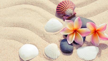 Tranquil Summer Shoreline Vibes wallpaper