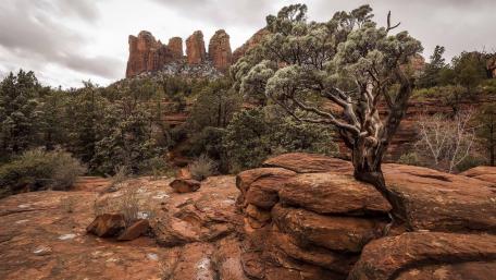 Majestic Rocky Landscape with Tree and Mountains wallpaper