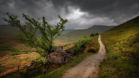 Serene Path Through a Rural Landscape Amidst Clouds wallpaper