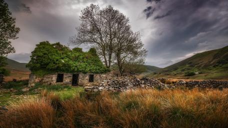 Whispers of Time in Abandoned Ruins wallpaper