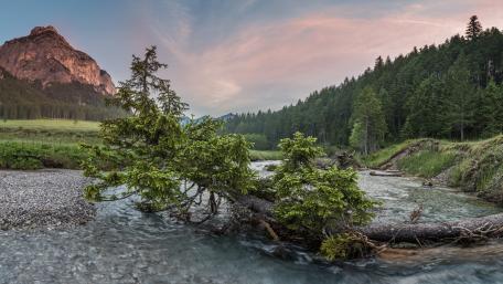 Tranquil River Landscape with Majestic Mountains and Fallen Tree wallpaper
