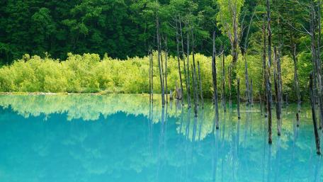 Tranquil Turquoise Waters Amidst Lush Forests wallpaper