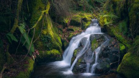 Serene Waterfall in a Lush Forest Setting wallpaper