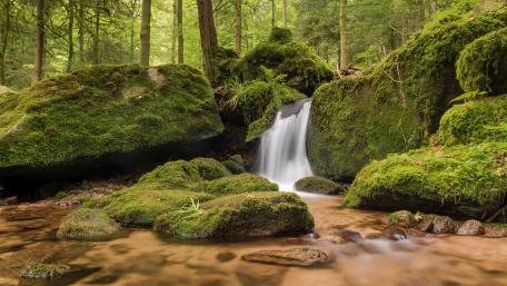 Tranquil Waterfall Amidst Lush Greenery wallpaper